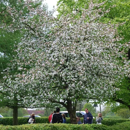 호텔 Landgasthof Pleister Muehle 뮌스터