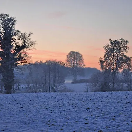 Landgasthof Pleister Muehle 호텔 뮌스터