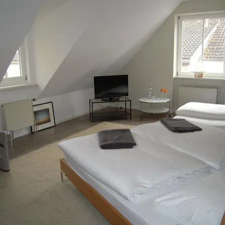 Landgasthof Pleister Muehle 호텔 뮌스터