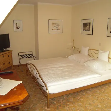 Hotel Landgasthof Pleister Muehle 3*