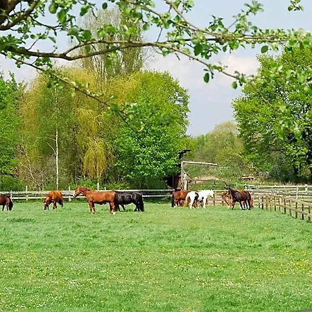 Landgasthof Pleister Muehle