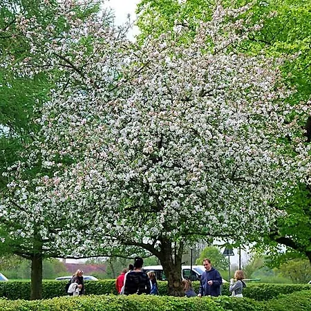 Szálloda Landgasthof Pleister Muehle