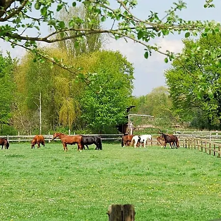 Landgasthof Pleister Muehle 3* Münster