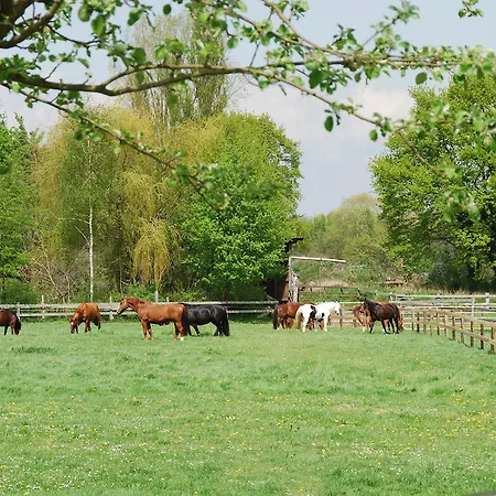 Szálloda Landgasthof Pleister Muehle 3*